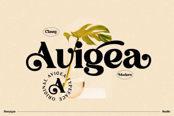 Avigea Font - Featured Image