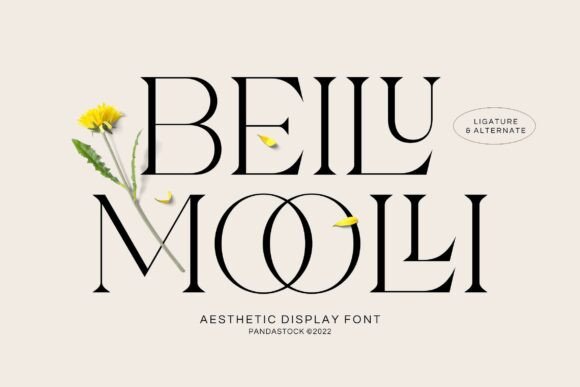 Beilu Moolli Font - Featured Image