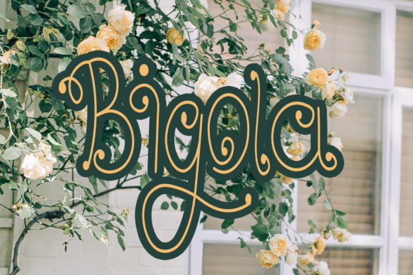 Bigola Font - Featured Image