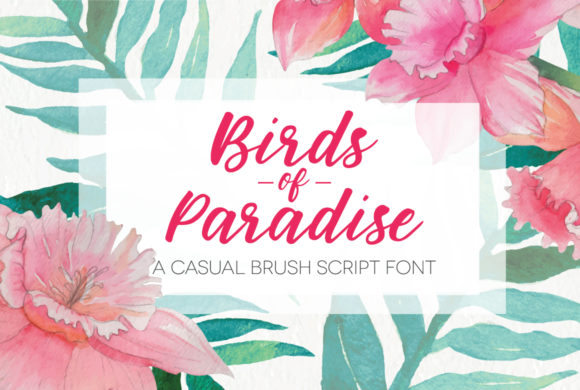 Birds of Paradies Font - Featured Image