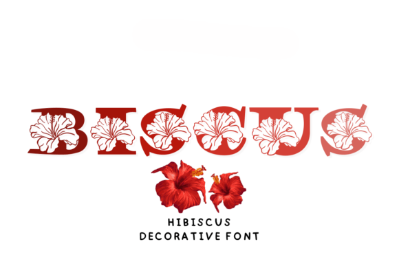 Biscus Font - Featured Image