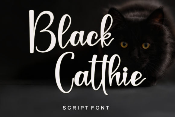Black Catthie Font - Featured Image