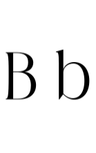 Black Gold Font - Featured Image