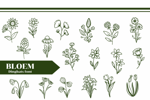 Bloem Font - Featured Image