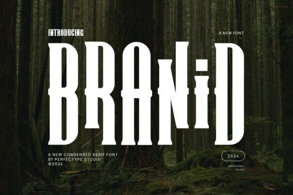 Branid Font - Featured Image