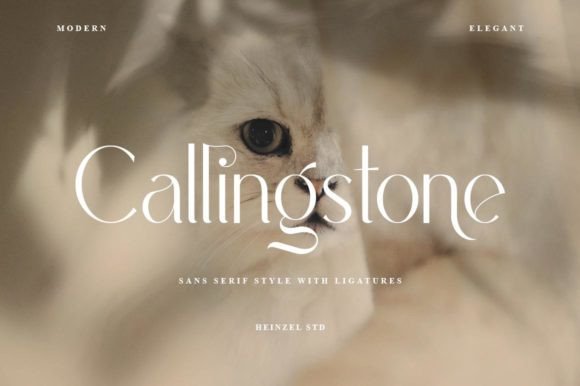 Callingstone Font - Featured Image