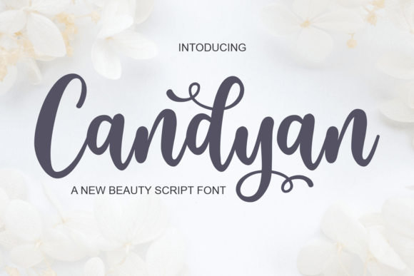 Candyan Font - Featured Image