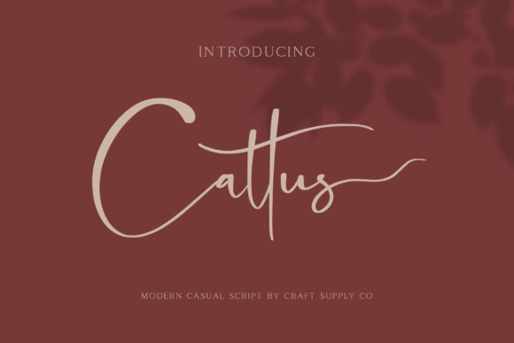 Cattus Font - Featured Image