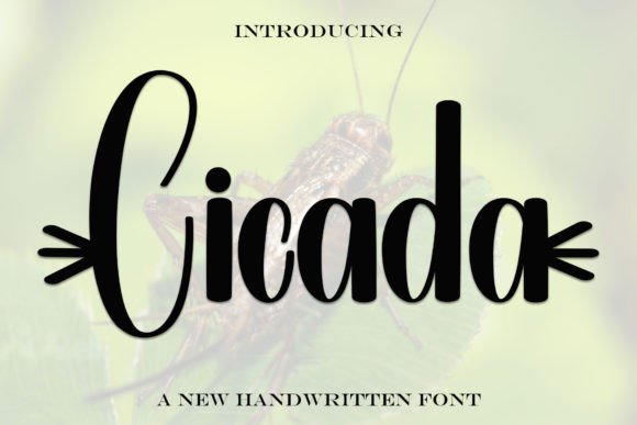 Cicada Font - Featured Image