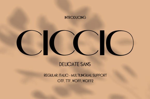 Ciccio Font - Featured Image