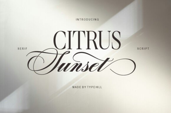 Citrus Sunset Font - Featured Image