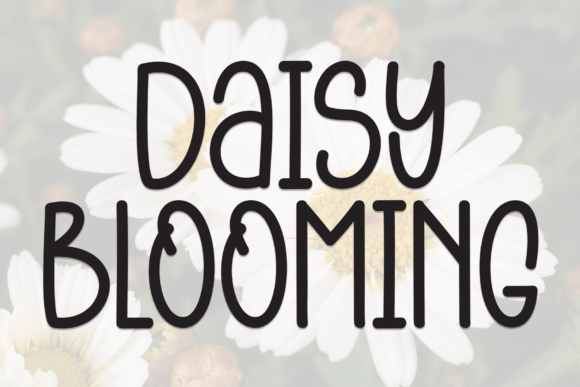 Daisy Blooming Font - Featured Image