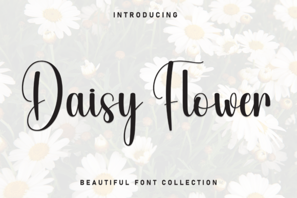 Daisy Flower Font - Featured Image