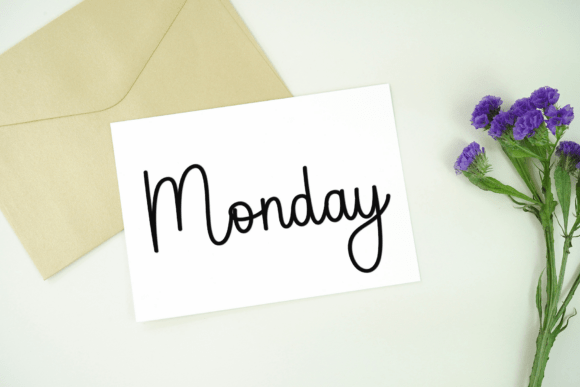 Diary Camellia Font - Featured Image