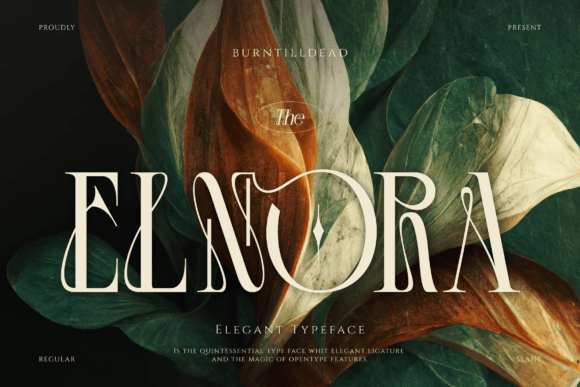 Elnora Font - Featured Image