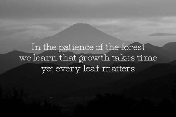 Elysira Velonea Font - Featured Image
