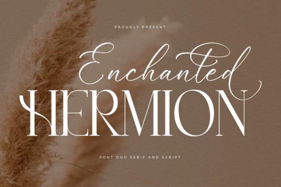 Enchanted Hermion Font - Featured Image