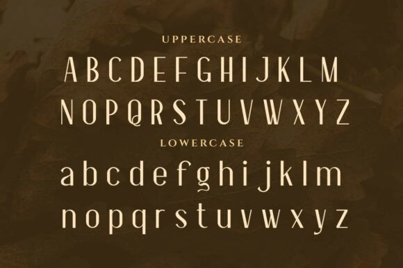 Essentials Font - Featured Image