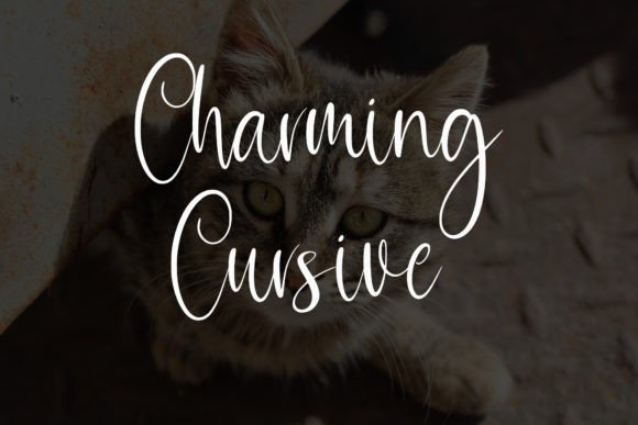 Falling Amour Font - Featured Image