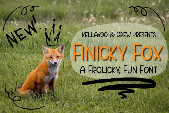 Finicky Fox Font - Featured Image