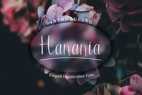 Hanania Font - Featured Image