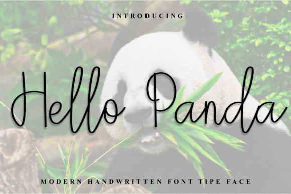 Hello Panda Font - Featured Image
