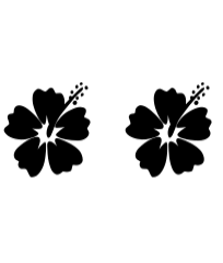 Hibiscus Set Font - Featured Image