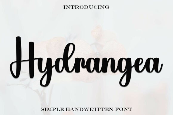 Hydrangea Font - Featured Image