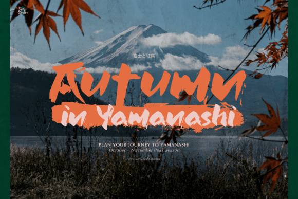 Jinsei Font - Featured Image