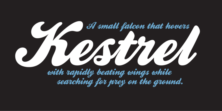 Kestrel Script Font - Featured Image