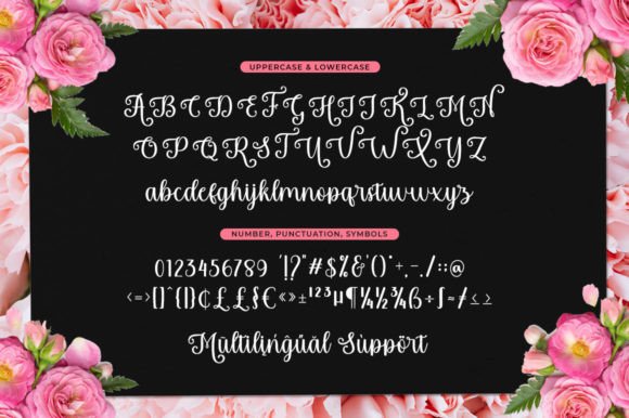 Kotadaila Font - Featured Image
