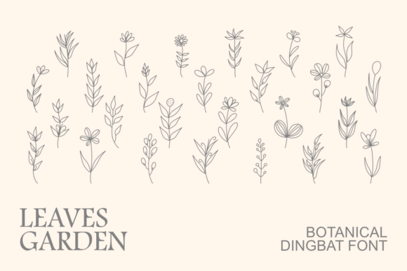 Leaves Garden Font - Featured Image