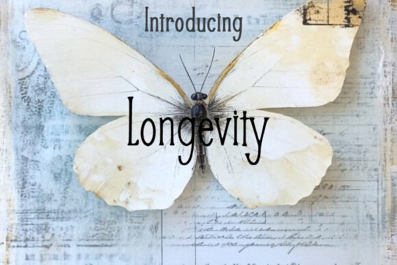 Longevity Font - Featured Image