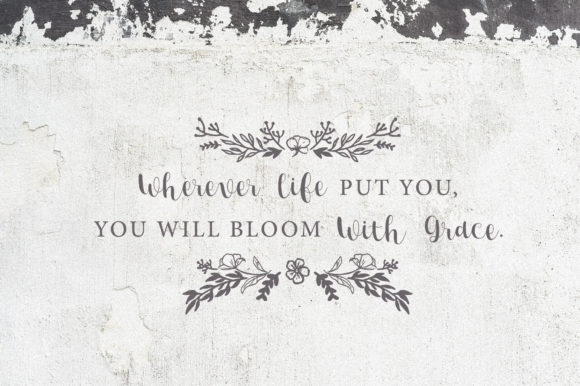 Lucky Walter Font - Featured Image