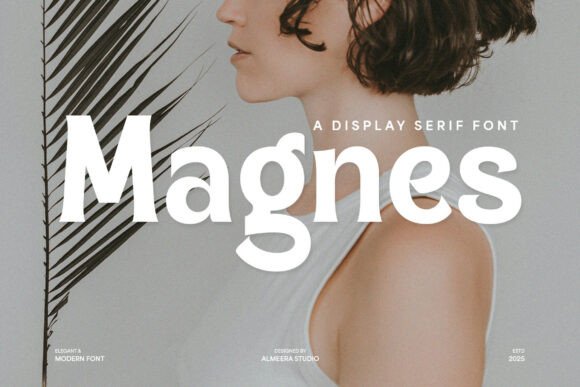 Magnes Font - Featured Image