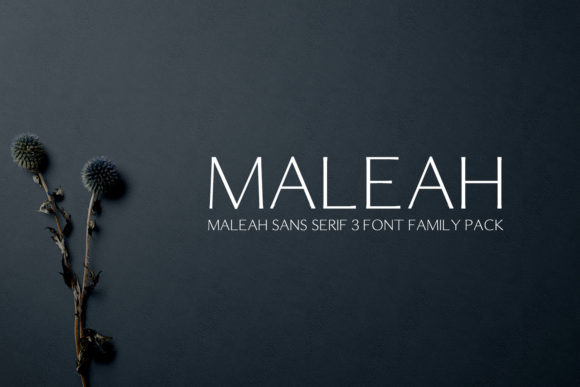 Maleah Font - Featured Image