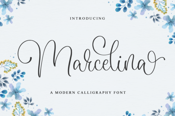 Marcelina Font - Featured Image