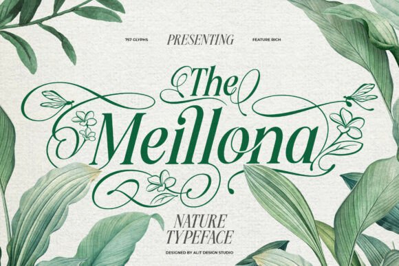 Meillona Font - Featured Image
