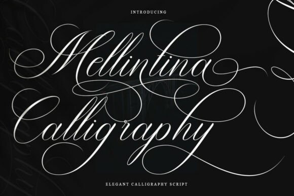 Melintina Calligraphy Font - Featured Image