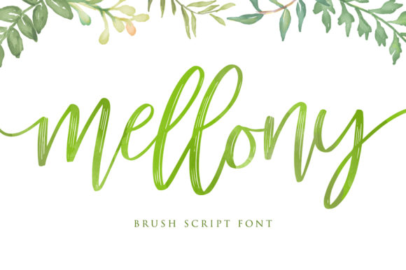Mellony Font - Featured Image