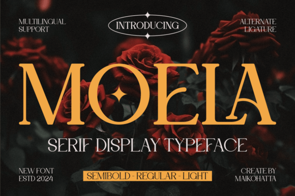 Moela Font - Featured Image