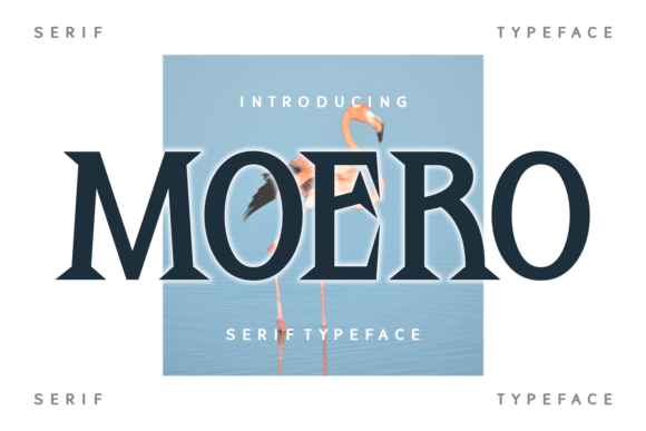 Moero Font - Featured Image