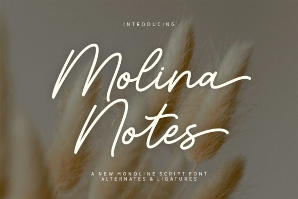 Molina Notes Font - Featured Image
