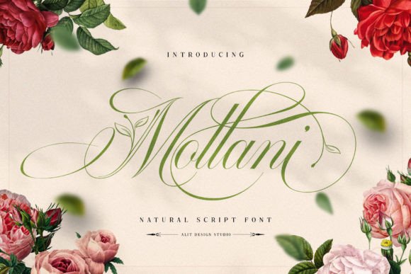 Mollani Font - Featured Image