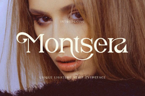 Montsera Font - Featured Image