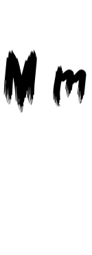 More Brusher Font - Featured Image