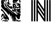 No Rules Font - Featured Image