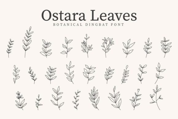 Ostara Leaves Font - Featured Image