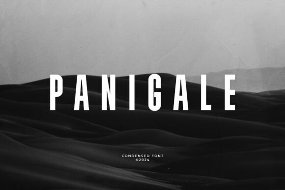 Panigale Font - Featured Image
