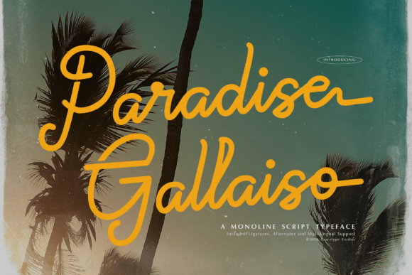 Paradise Gallaiso Font - Featured Image